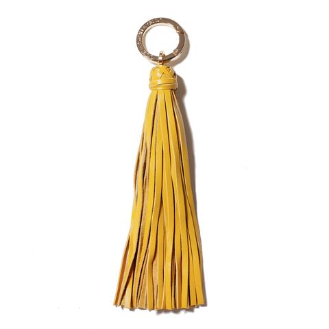 Golden Tassel Key Chain 